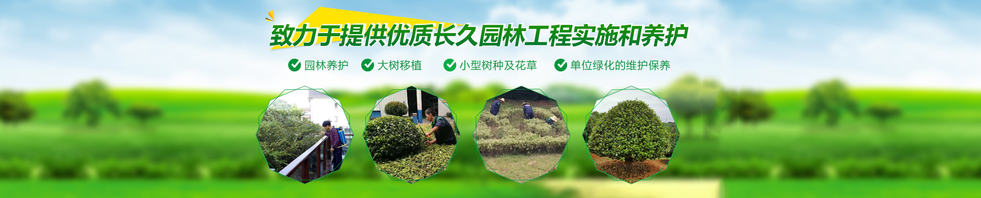 長沙市亮宇園林綠化工程有限公司_長沙園林養護|長沙大樹移植|小型樹種及花草哪里的好
